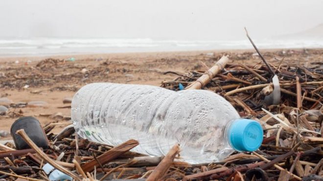 Czy plastik jest wszędzie?